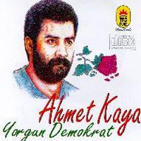 akaya1.jpg